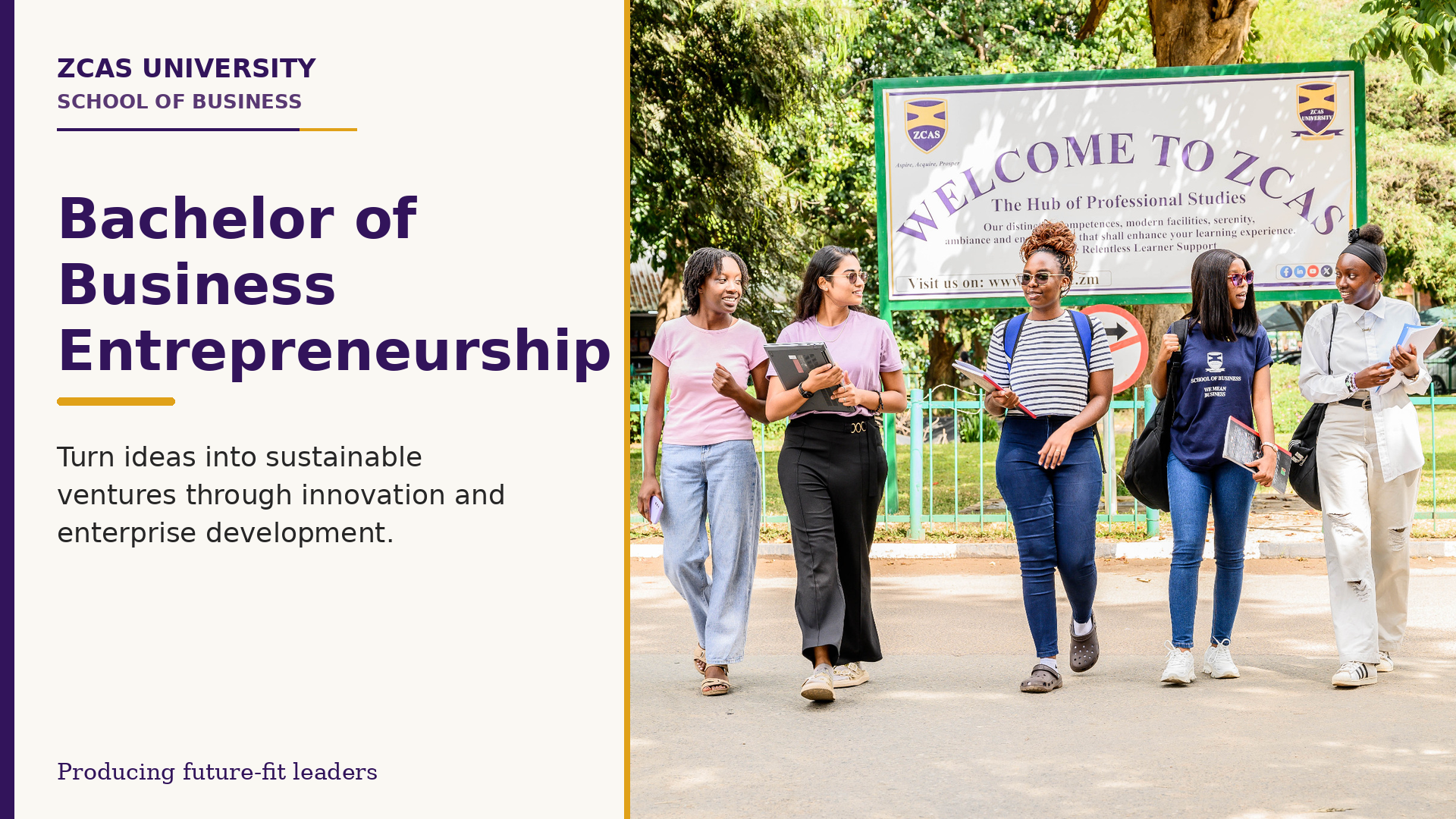 Bachelor of Business Entrepreneurship